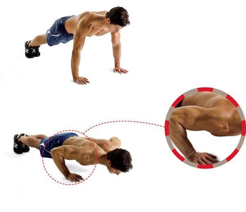 Push-ups from the floor promote strong muscles in the arms and chest